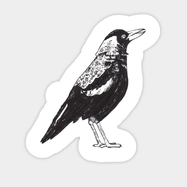 A Magpie Called Billie Sticker by srw110